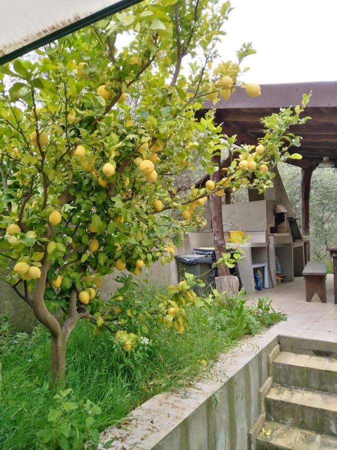 La Casetta Di Sofia Moneglia Exterior foto